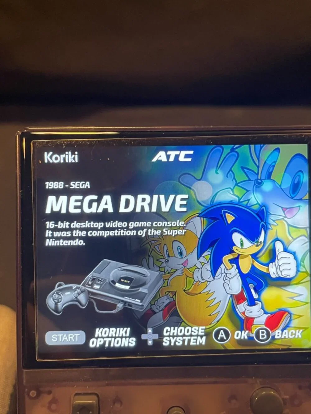 Ambernic Handheld Customized Koriki OS With Accessories
